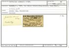Karteikarte zum Belegmaterial von Guttulina communis (d'Orbigny, 1826)